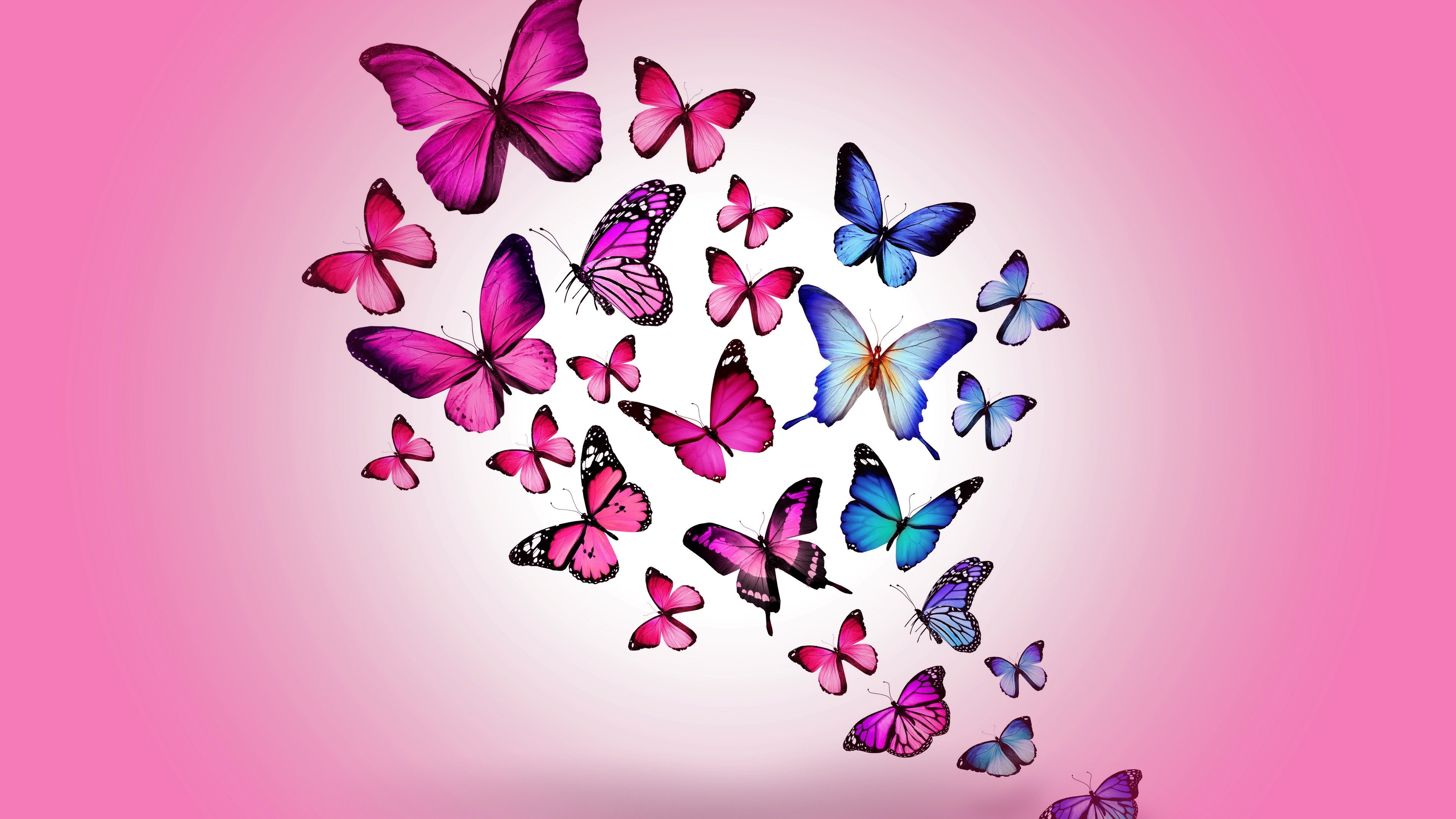 Wallpaper Butterfly Drawing Flying Colorful