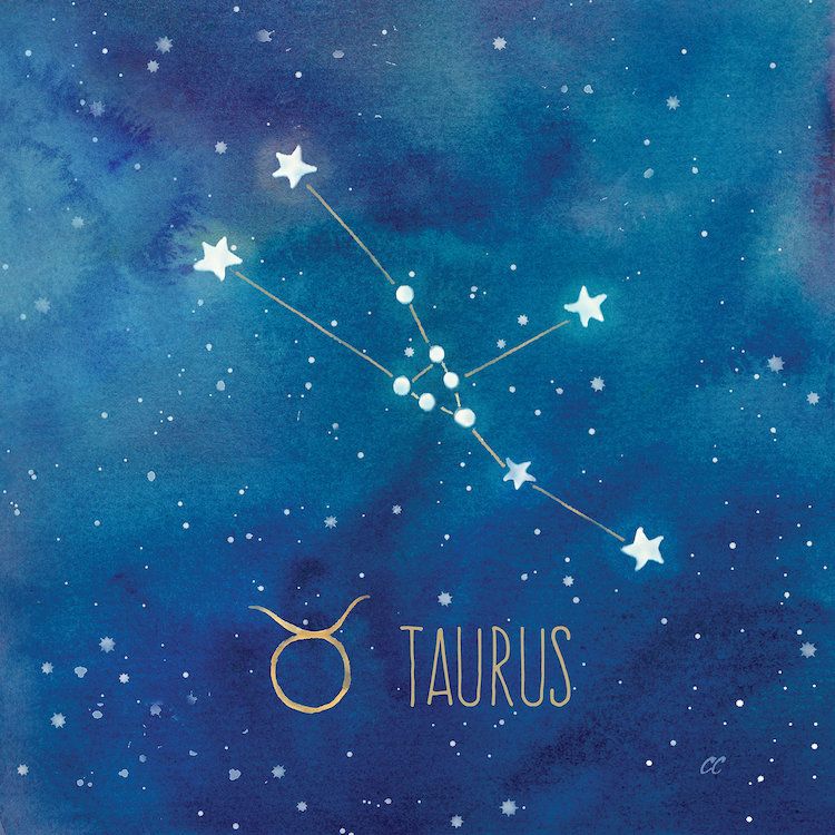 Star Sign Taurus Art Print by Cynthia Coulter iCanvas in 2021 750x750