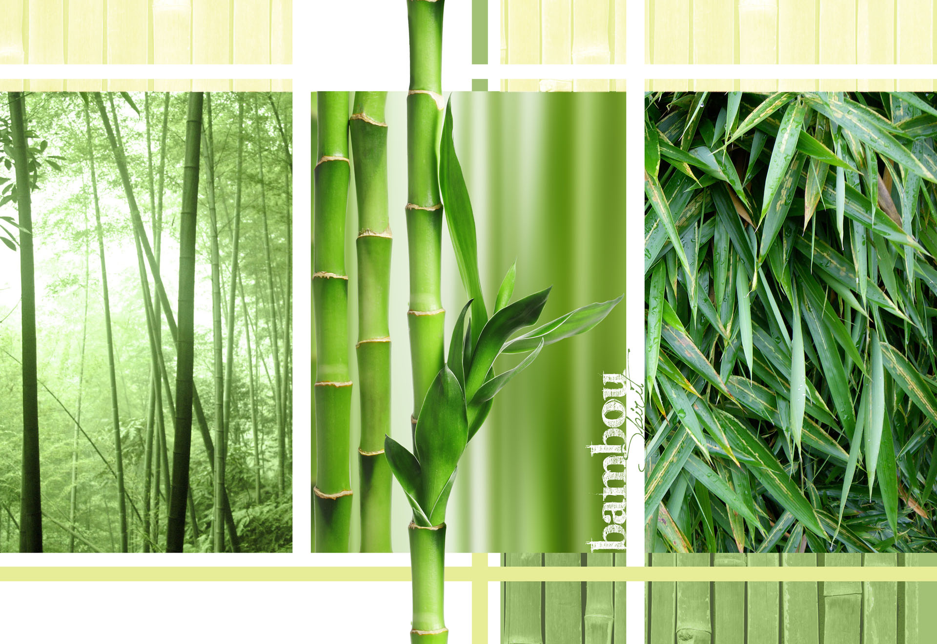 Панель бамбуковый лес в интерьере