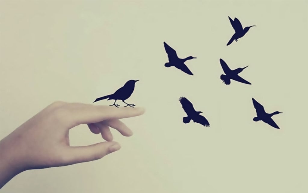 Wallpaper Fly Birds By Cantstopimagine