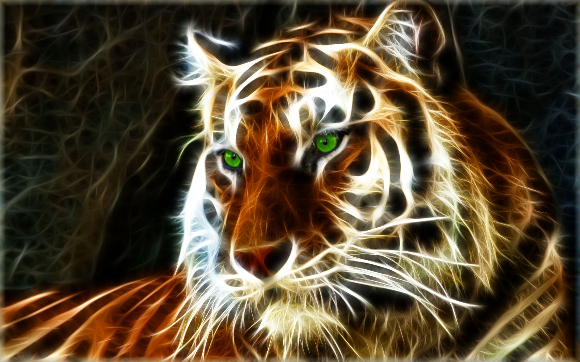 Tiger Wallpaper Best