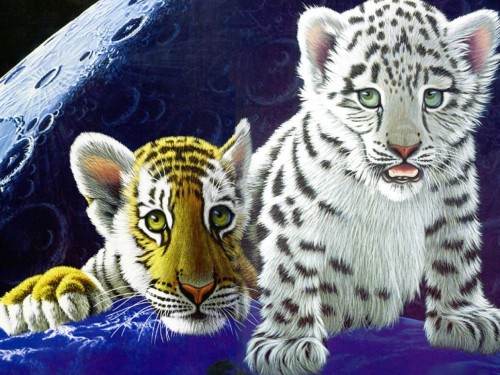 free william schimmel tiger cubs screensaver screensavers download 500x375