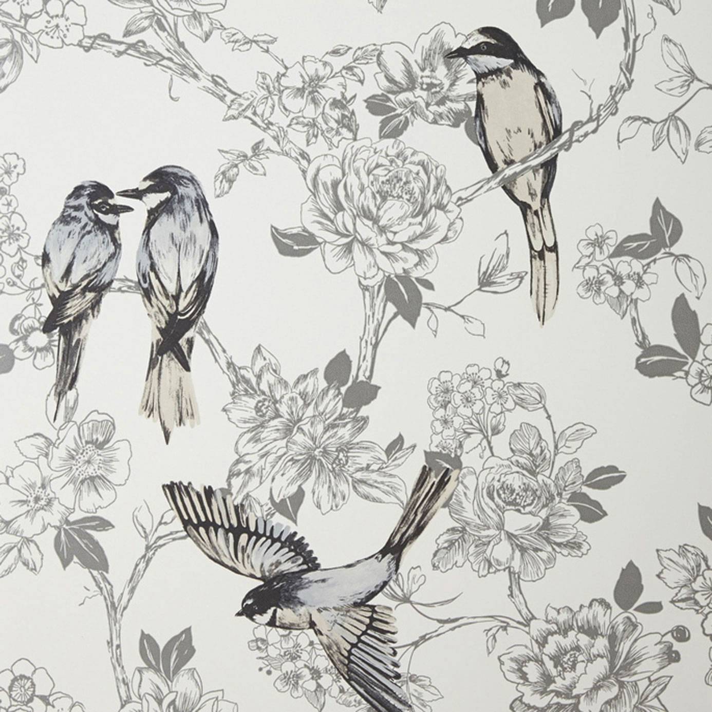Prestigious Textiles Maison Wallpaper Songbird Dove