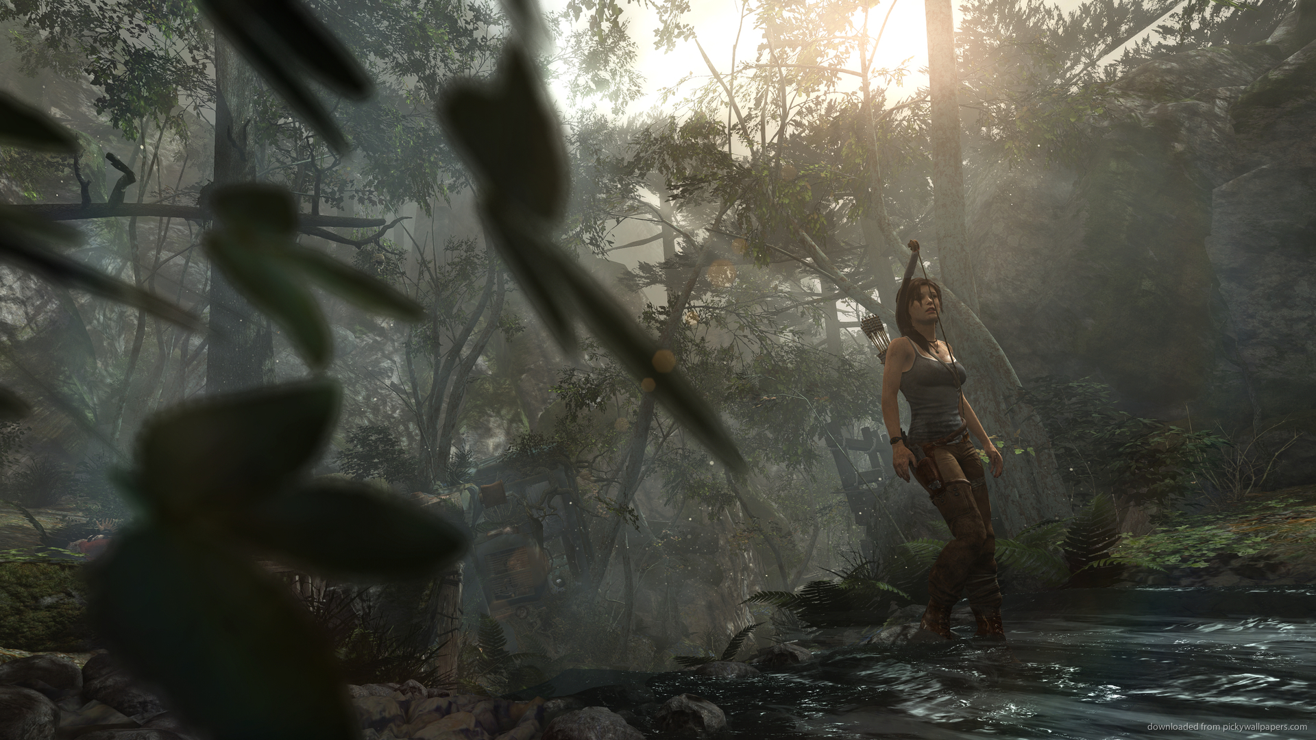 Tomb Raider Everglade Picture