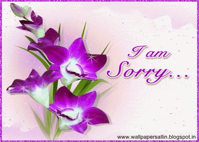 Am Sorry Wallpaper Image