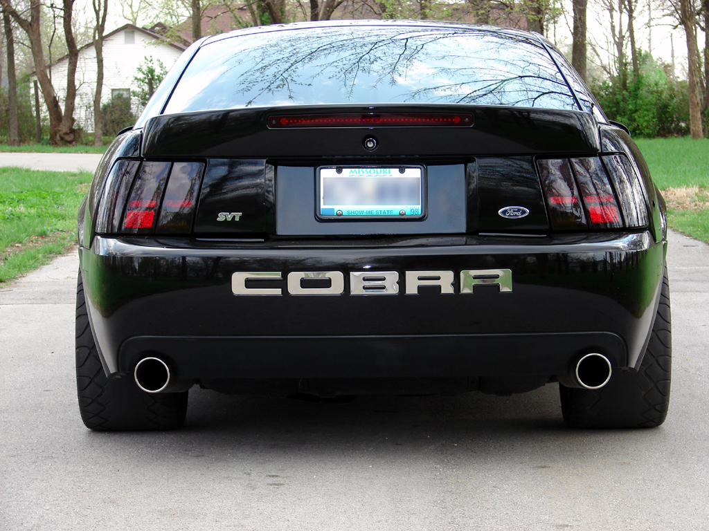 Ford Mustang Svt Cobra The Terminator Dark Cars Wallpaper