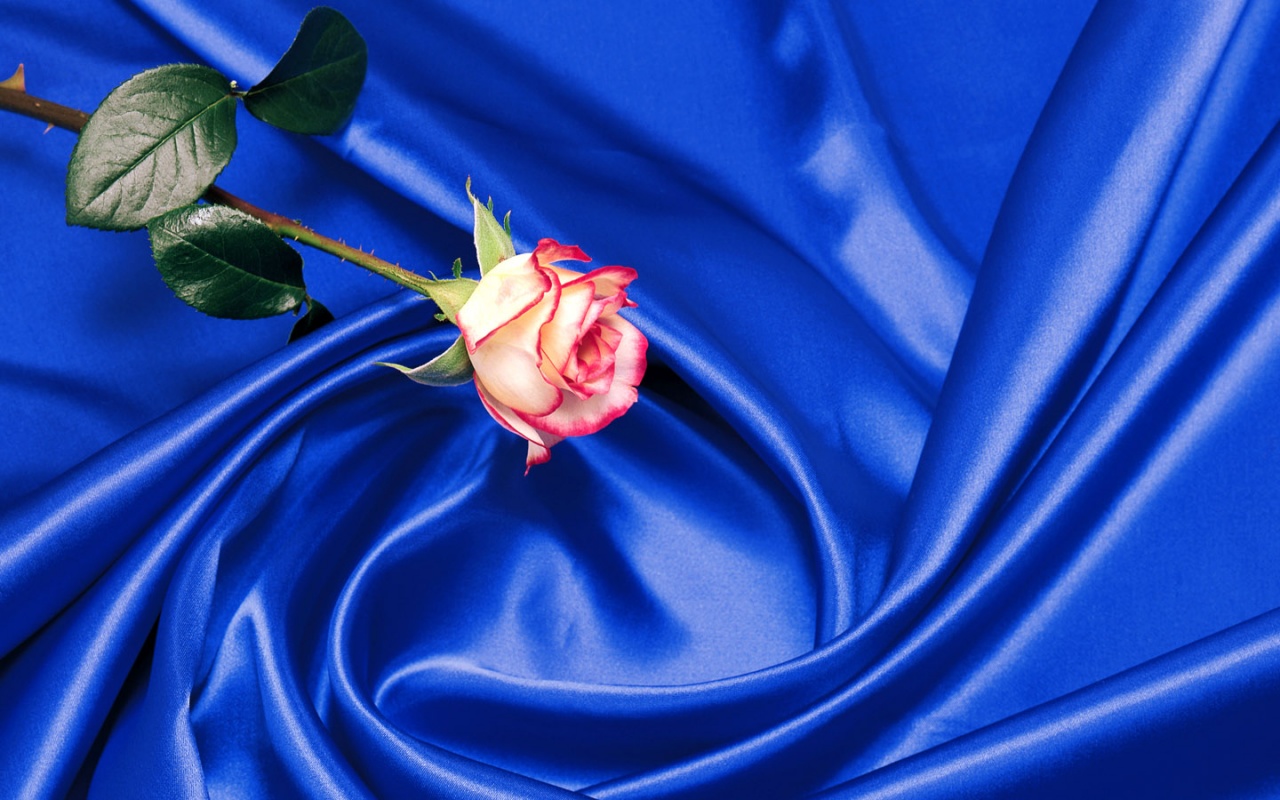 Rose Art Style Desktop Pc And Mac Wallpaper