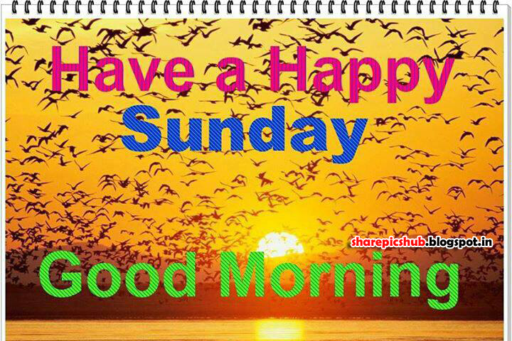Happy Sunday Morning SMS Pics Wallpapers Cards   HD Wallpapers