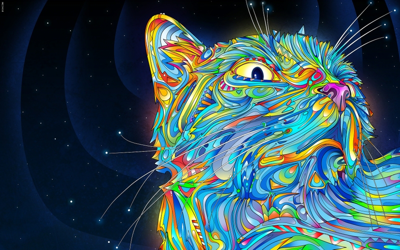 outer spacecats outer space cats rainbows trippy 1920x1200 wallpaper