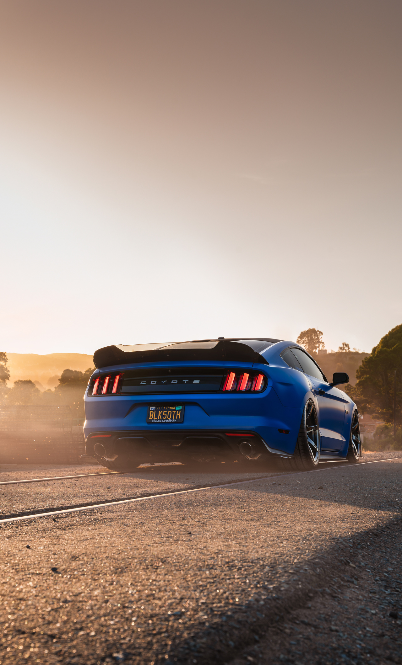 Ford Mustang Gt Rear 4k iPhone HD Wallpaper Image Photos