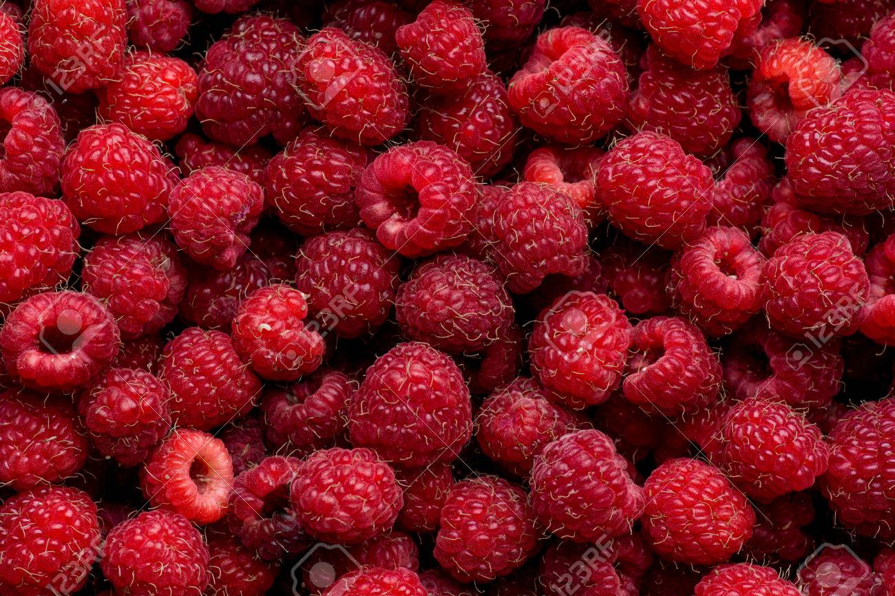 Ripe Red Raspberry Fruit Background Top Stock Photo
