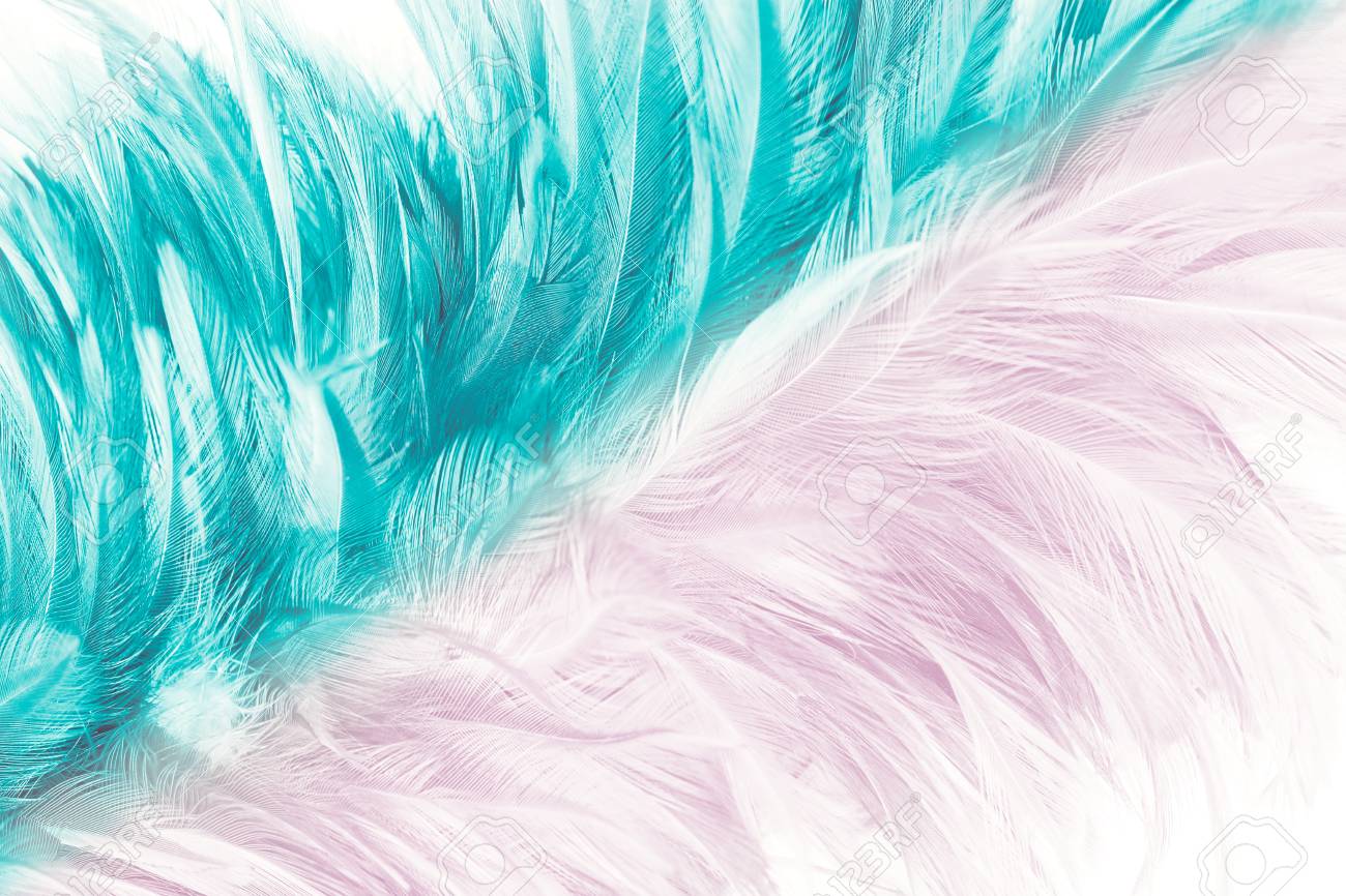 Pink And Green Turquoise Color Trends Feather Texture Abstract