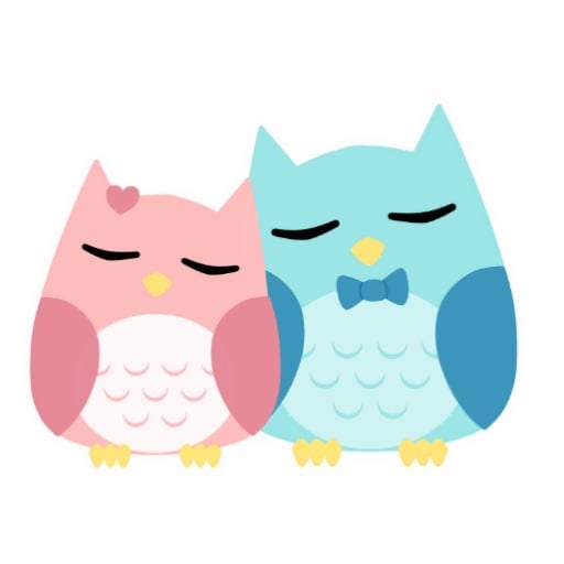cute cartoon vector owl couple photo cut outs Zazzle
