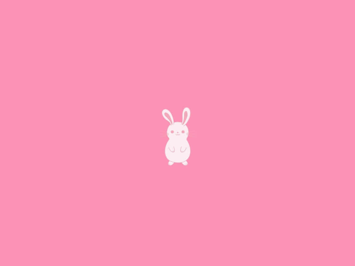 Bunny Aesthetic Wallpaper