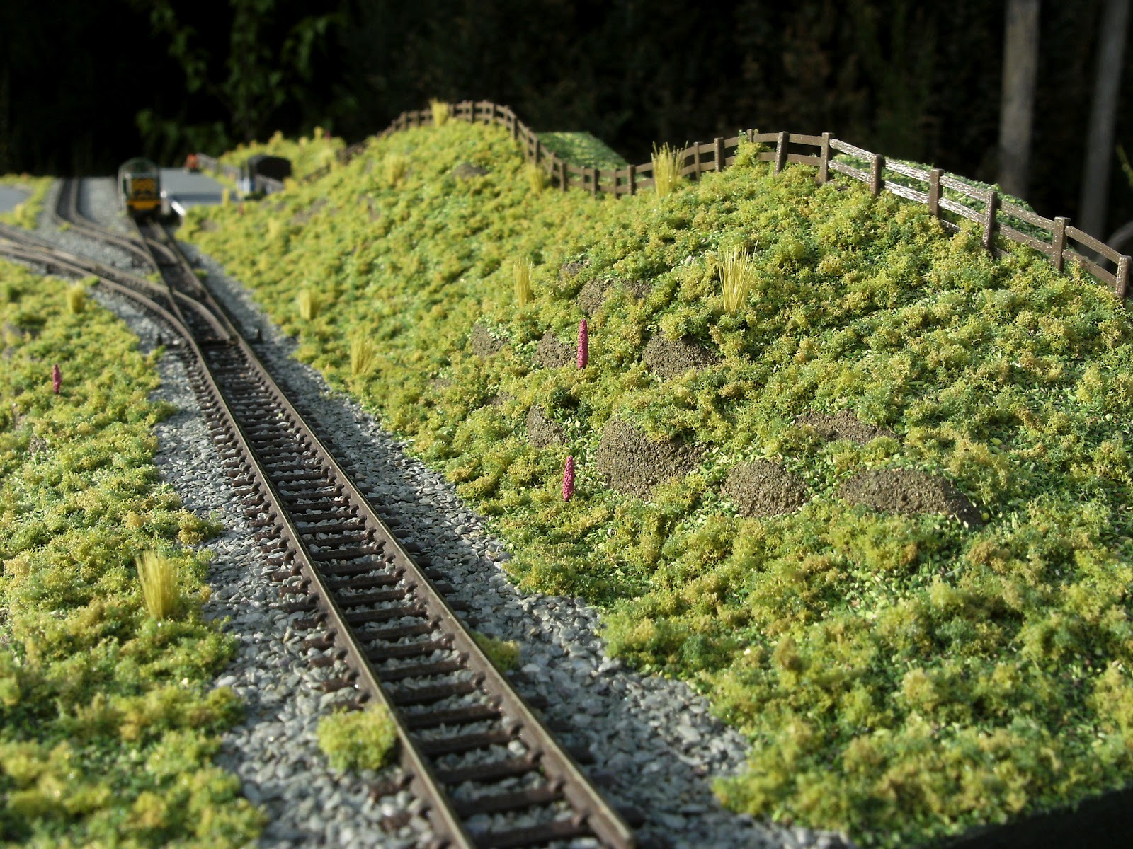Gauge Scenic Model Railway Layout Part Detailing Background Scenery