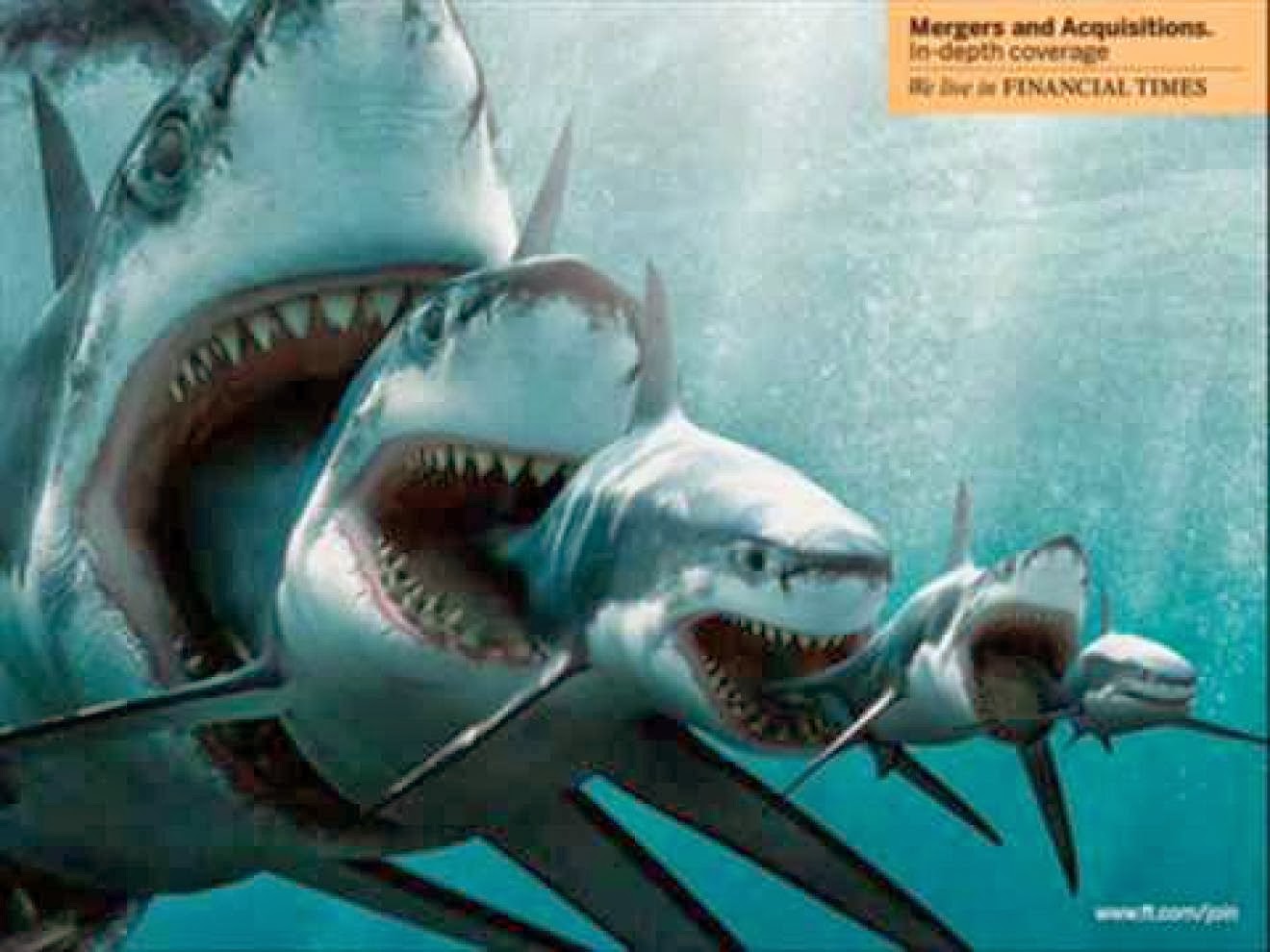 Megalodon Monster Shark HD Wall Wallpaper