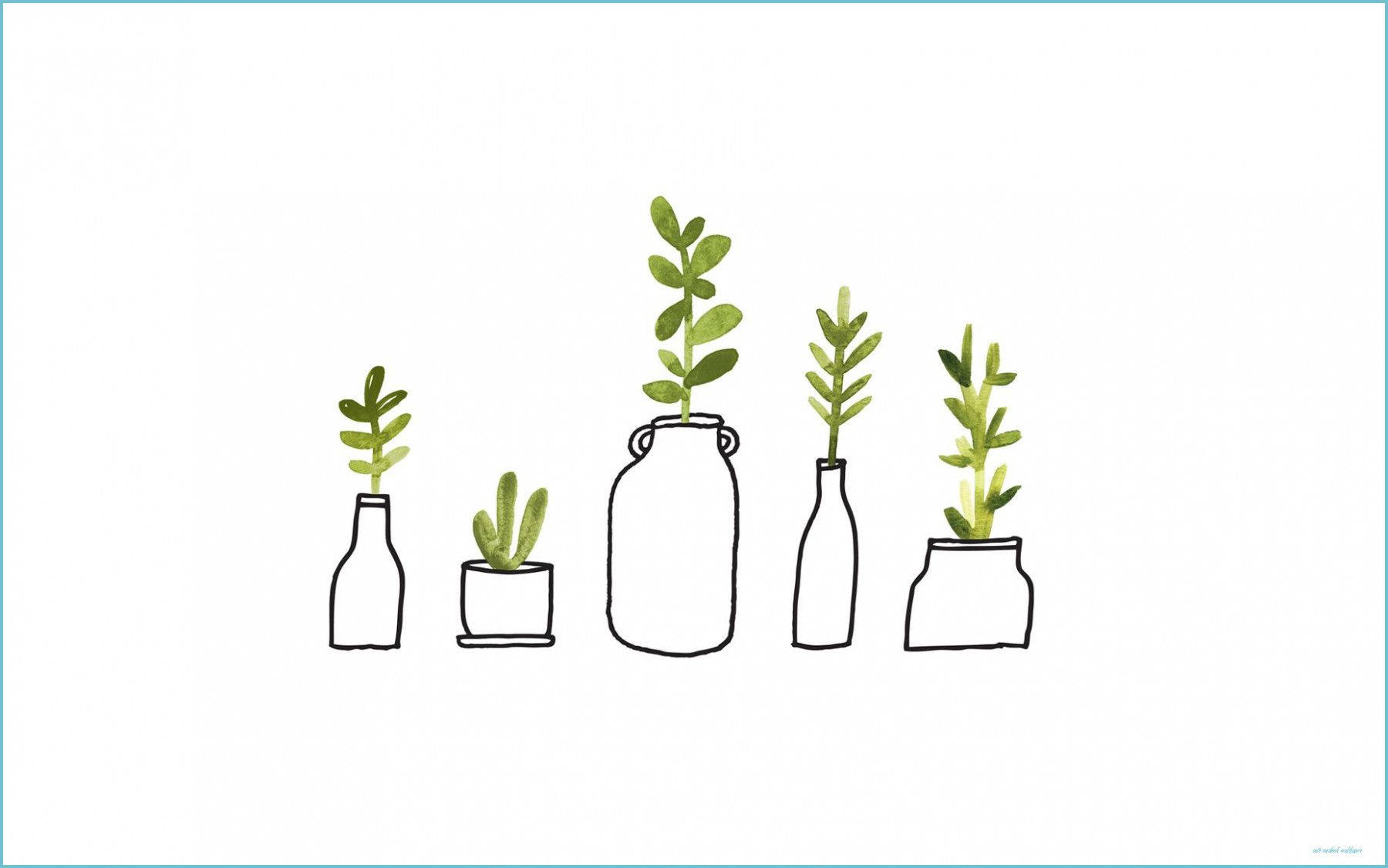 Green Plant Aesthetic Wallpaper