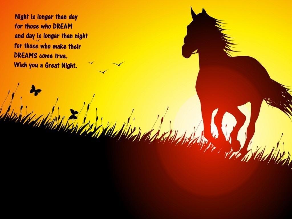 Sunset Time Horse En Beach Wish You Good Night Hq Quotes Fondos De