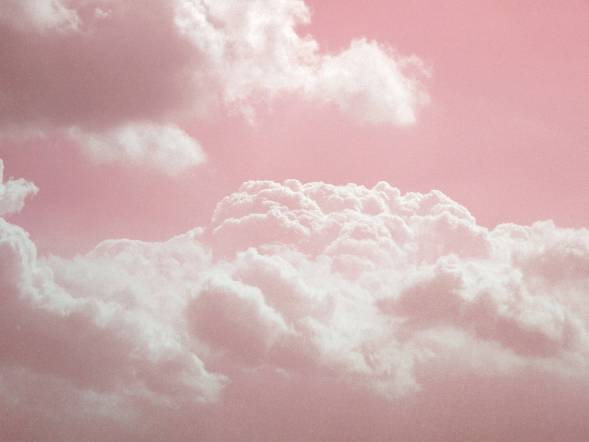 Light Pink Wallpaper