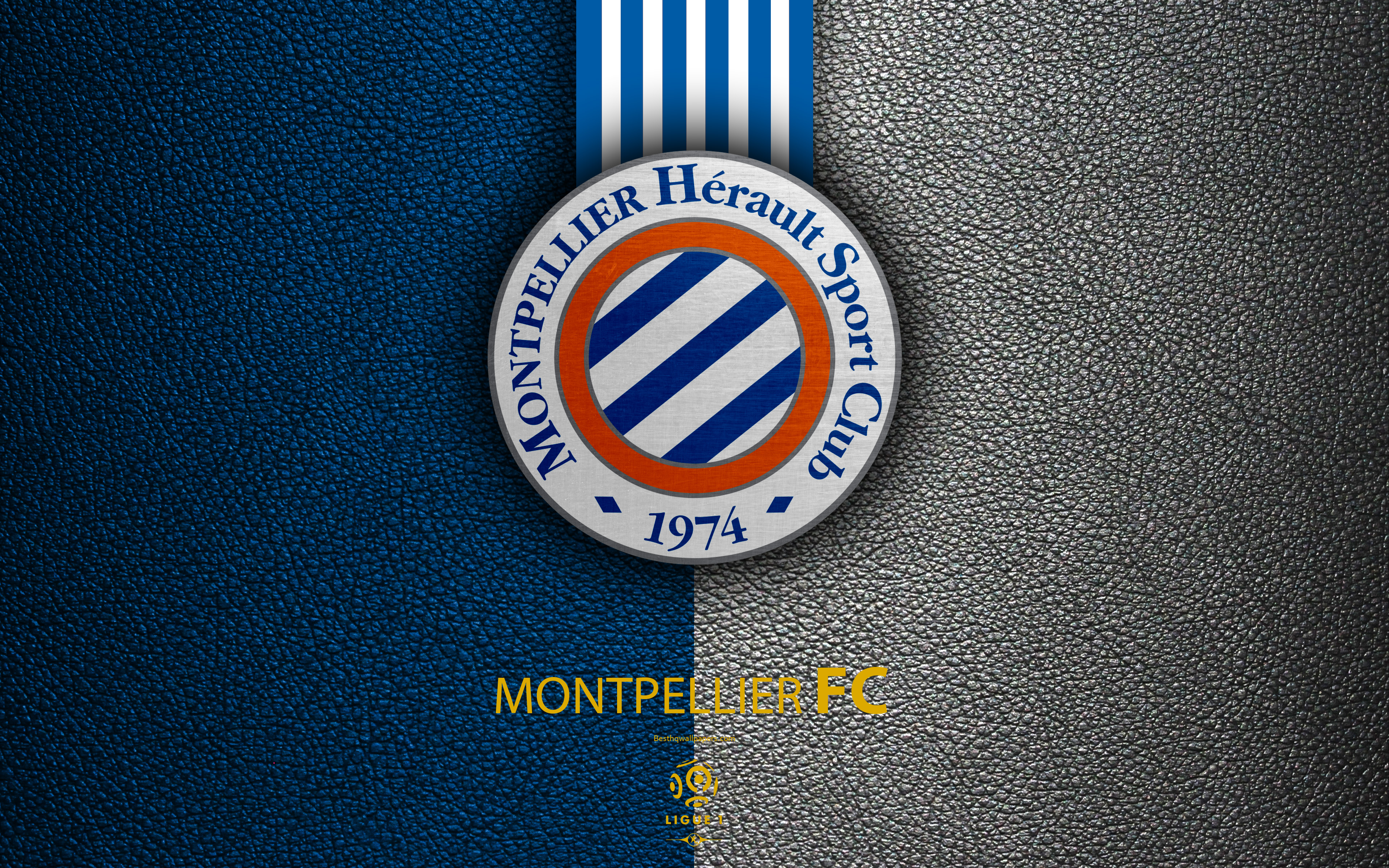 Wallpaper Montpellier Fc 4k French Football Club