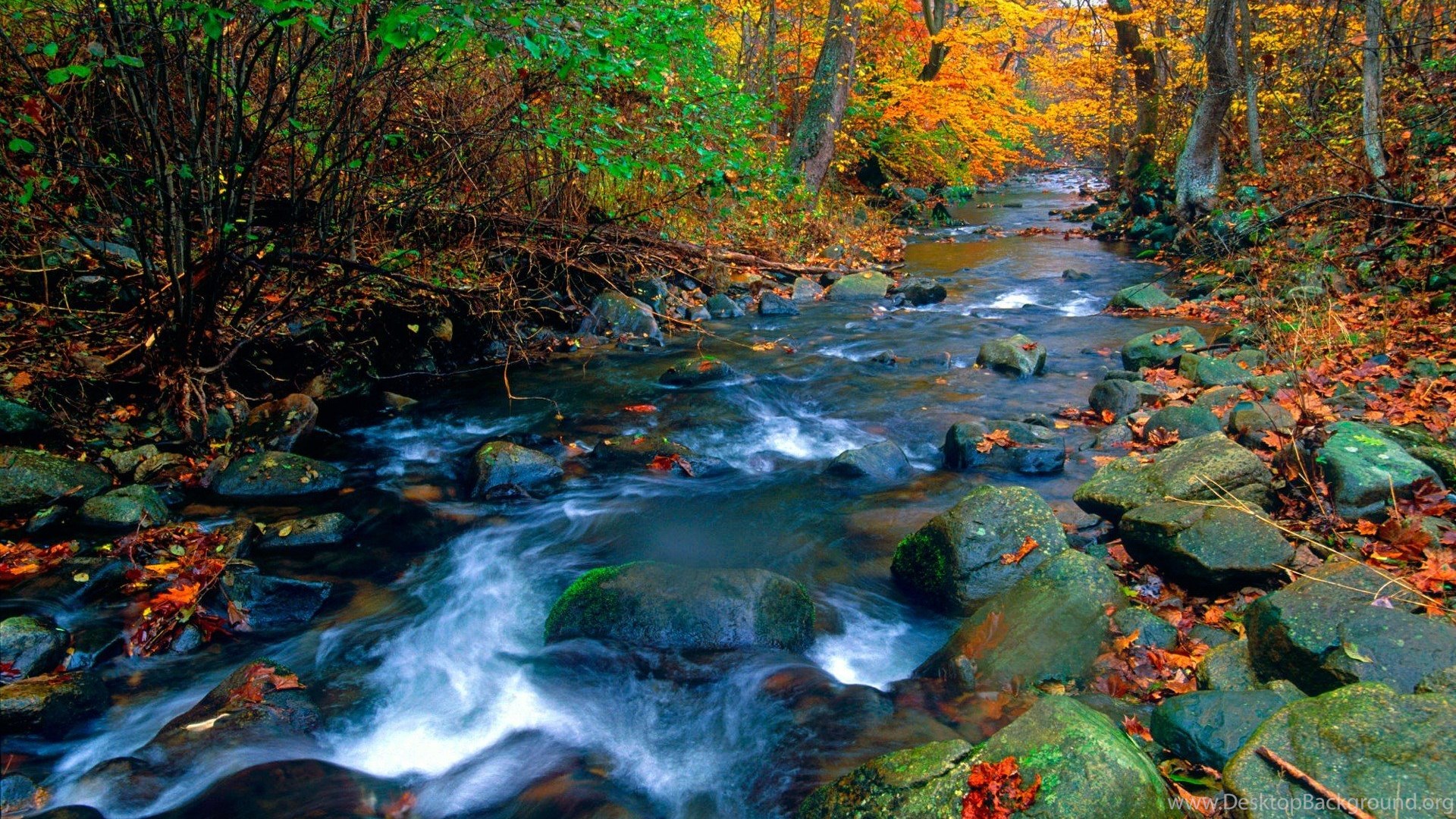 Top Most Beautiful Sceneries In The World Wallpaper With