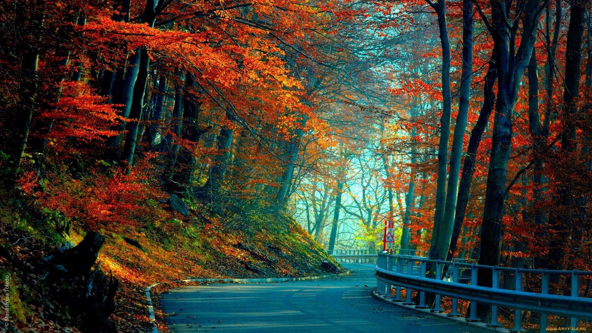 Autumn HD Wallpaper 1080p Image