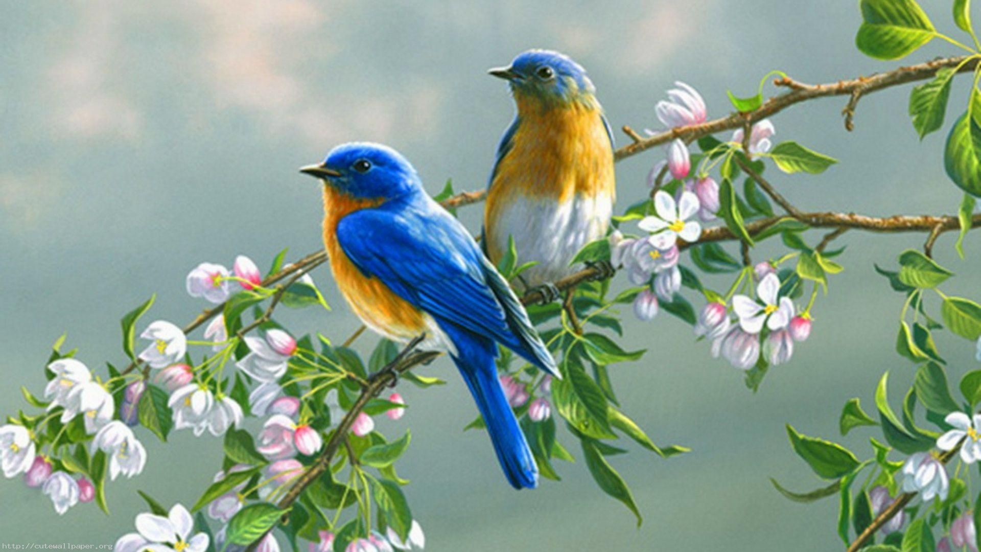 Birds And Trees Wallpaper