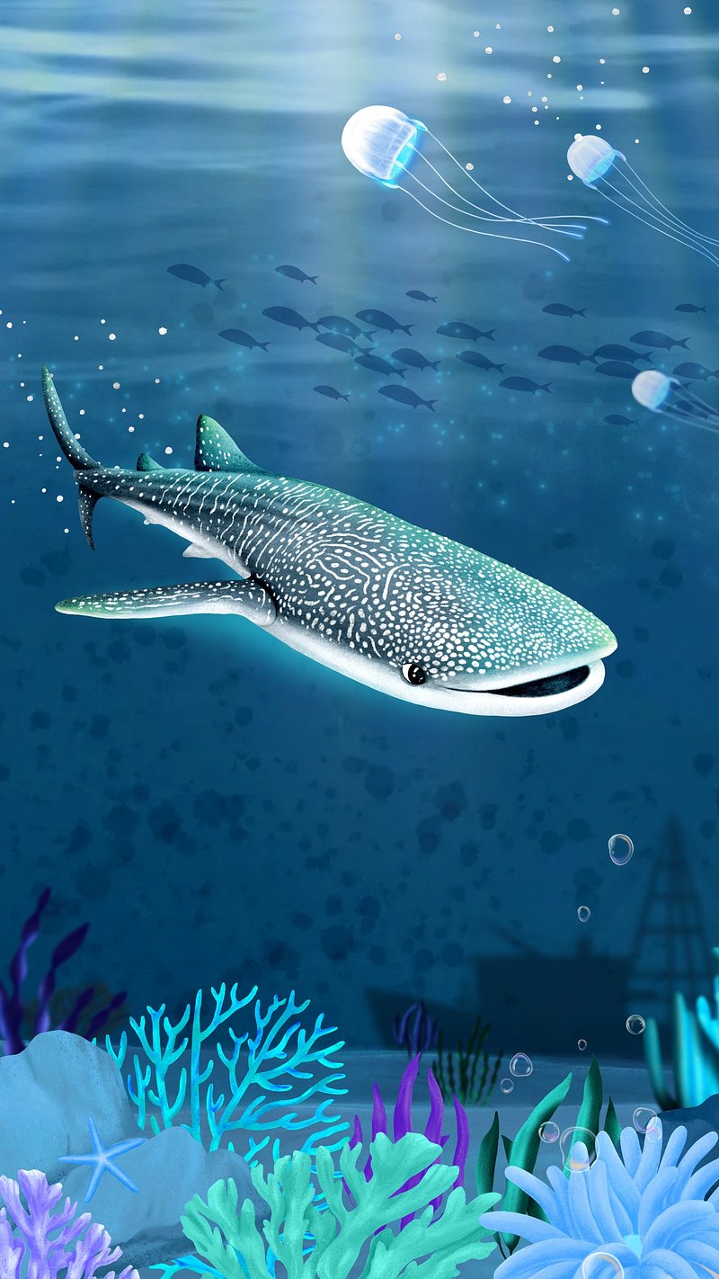Whale Shark iPhone Wallpaper