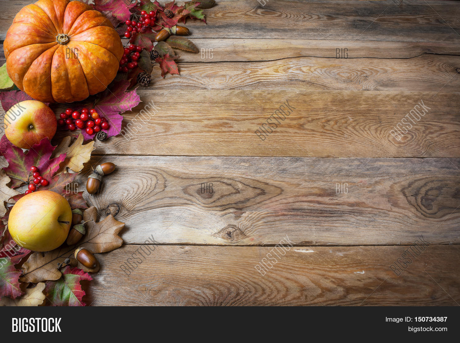 Thanksgiving Fall Image Photo Trial Bigstock
