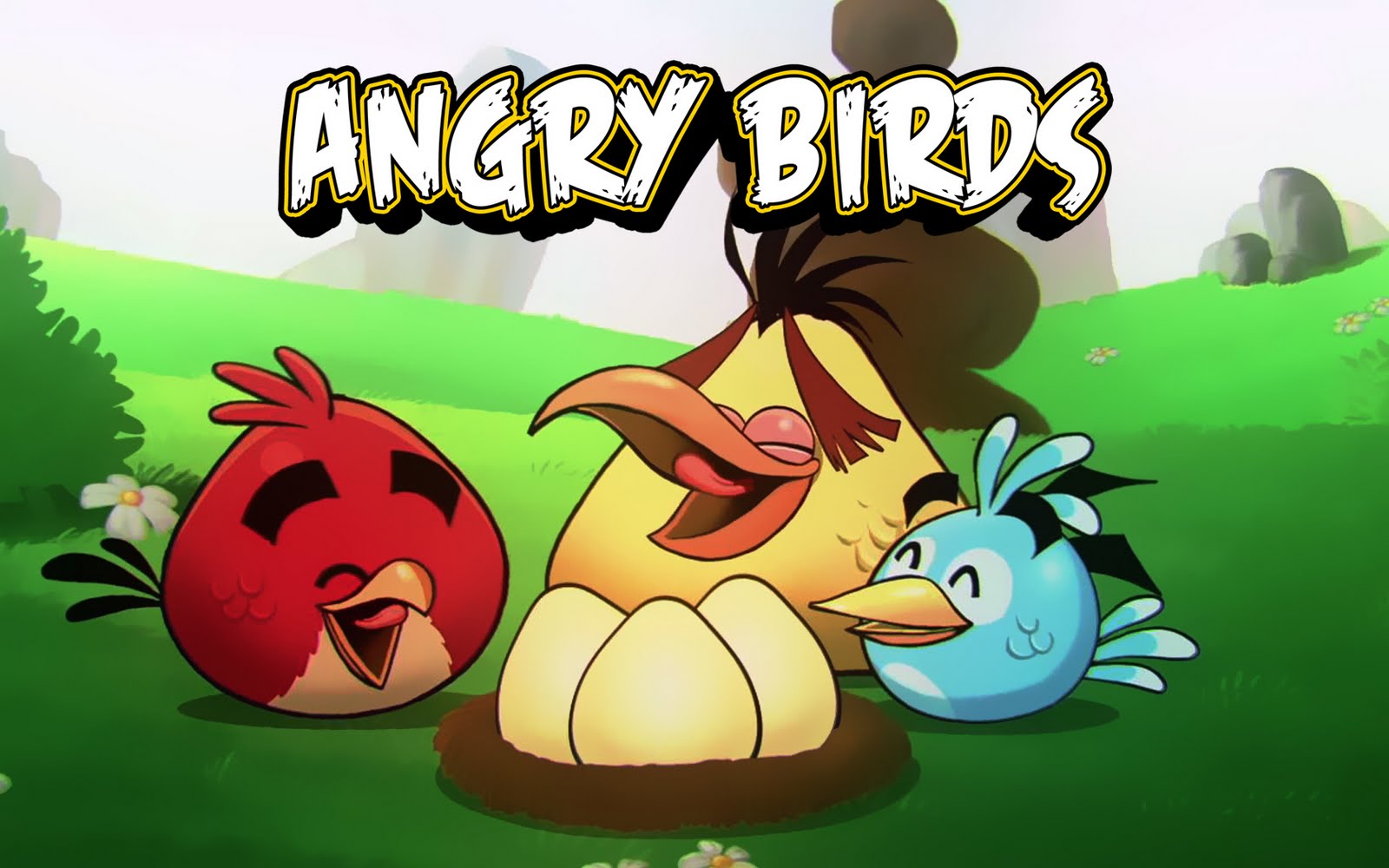 Angry Birds Cute HD Wallpaper