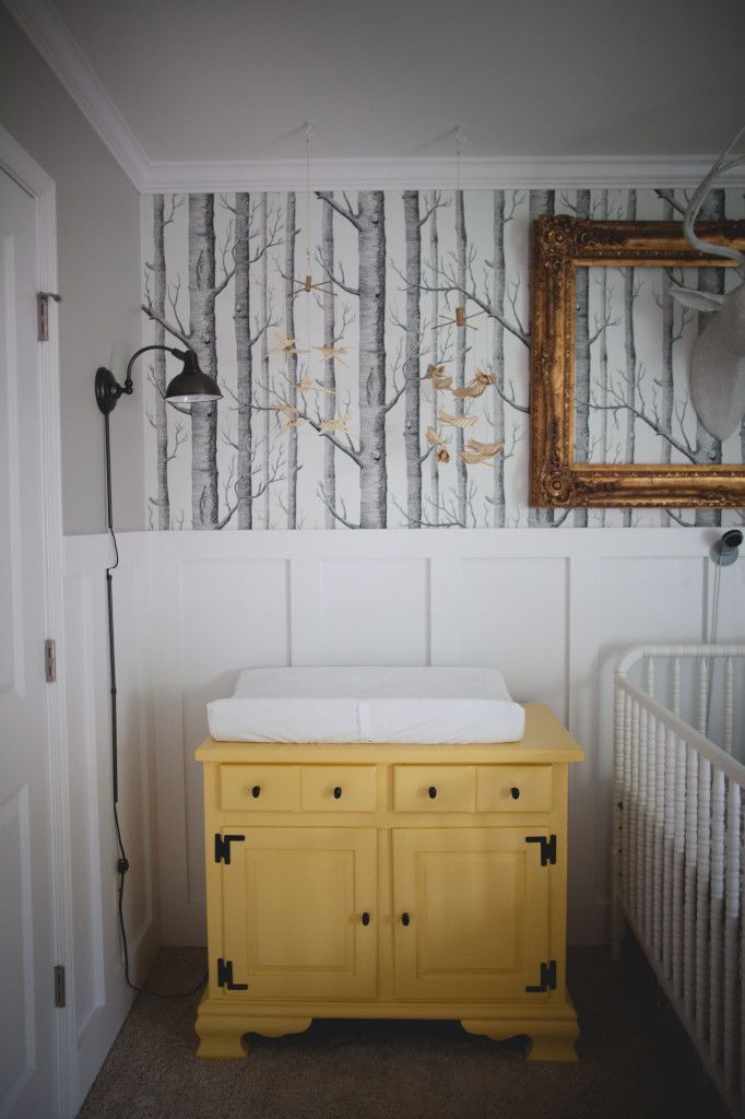Baby Boy Nursery Birch Tree Wallpaper Ivester