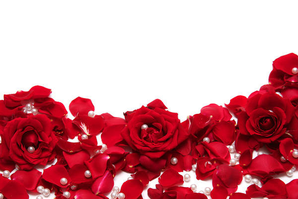 Showing Gallery For Red And White Rose Background 600x400