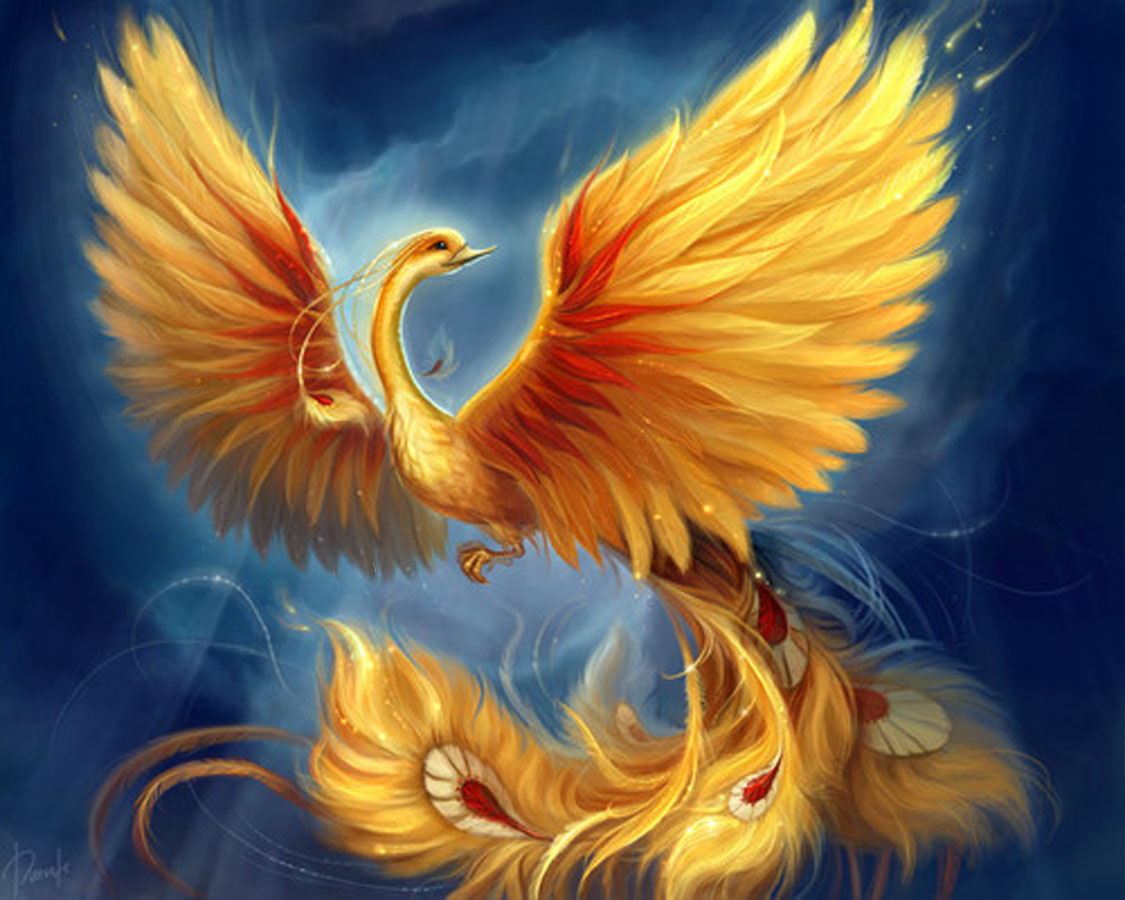 Phoenix Desktop Wallpaper Bird Spectacular Golden