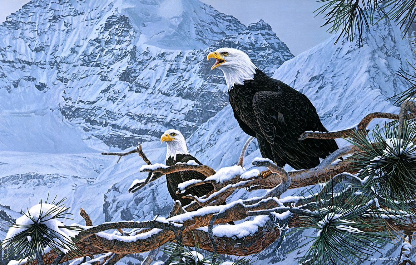 Wallpaper Winter Snow Mountains Birds Branches Nature Eagle