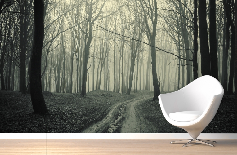 Black And White Forest Pathway Wallpaper Wall Mural Muralswallpaper