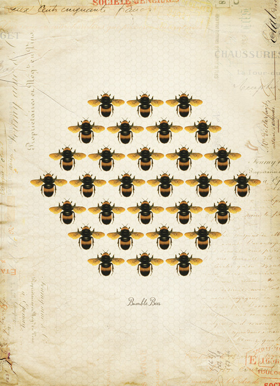 Vintage Bumble Bees Honeyb On French Ephemera Print P53
