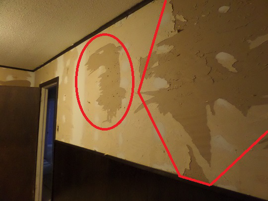 Repair Drywall After Wallpaper Removal Paulbabbitt Com