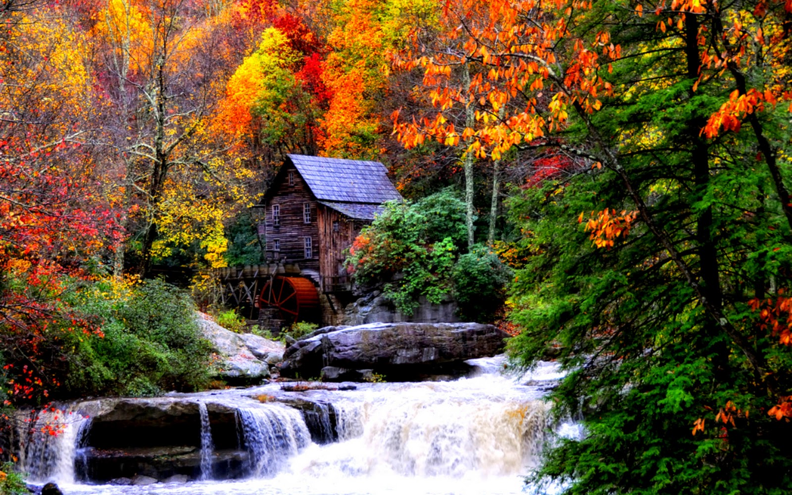 Label Autumn Waterfalls Desktop Background Landscape