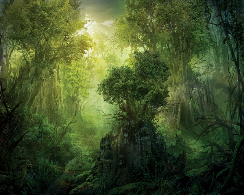 Forest Green Magic Abstract Fantasy HD Desktop Wallpaper