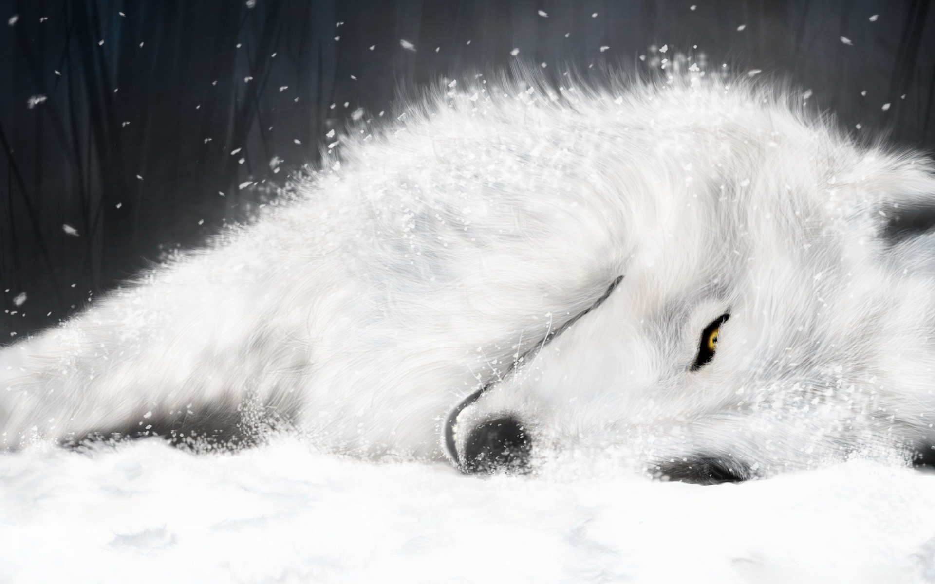 Wolf Rain Wallpaper Wolfs Anime HD Desktop