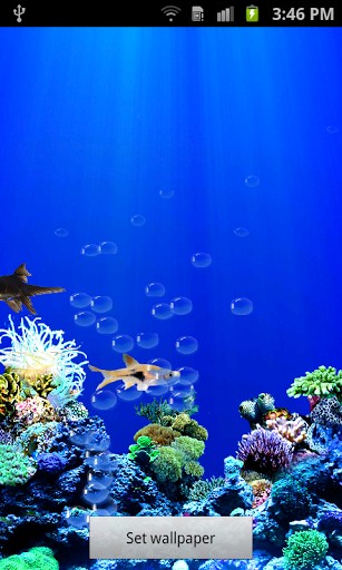 Related To Fish Aquarium Live Wallpaper Android