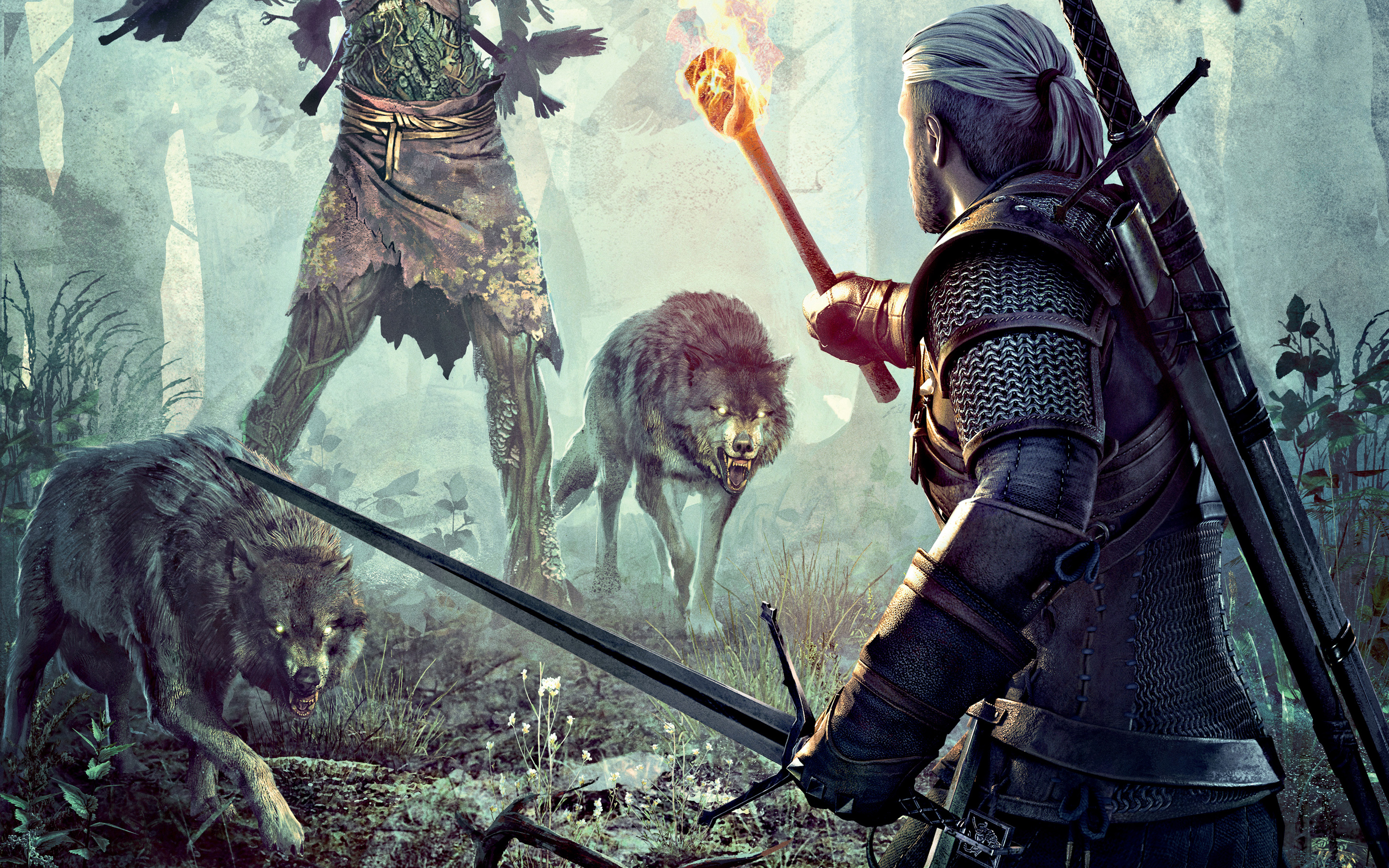 The Witcher Game HD Wallpaper IHD