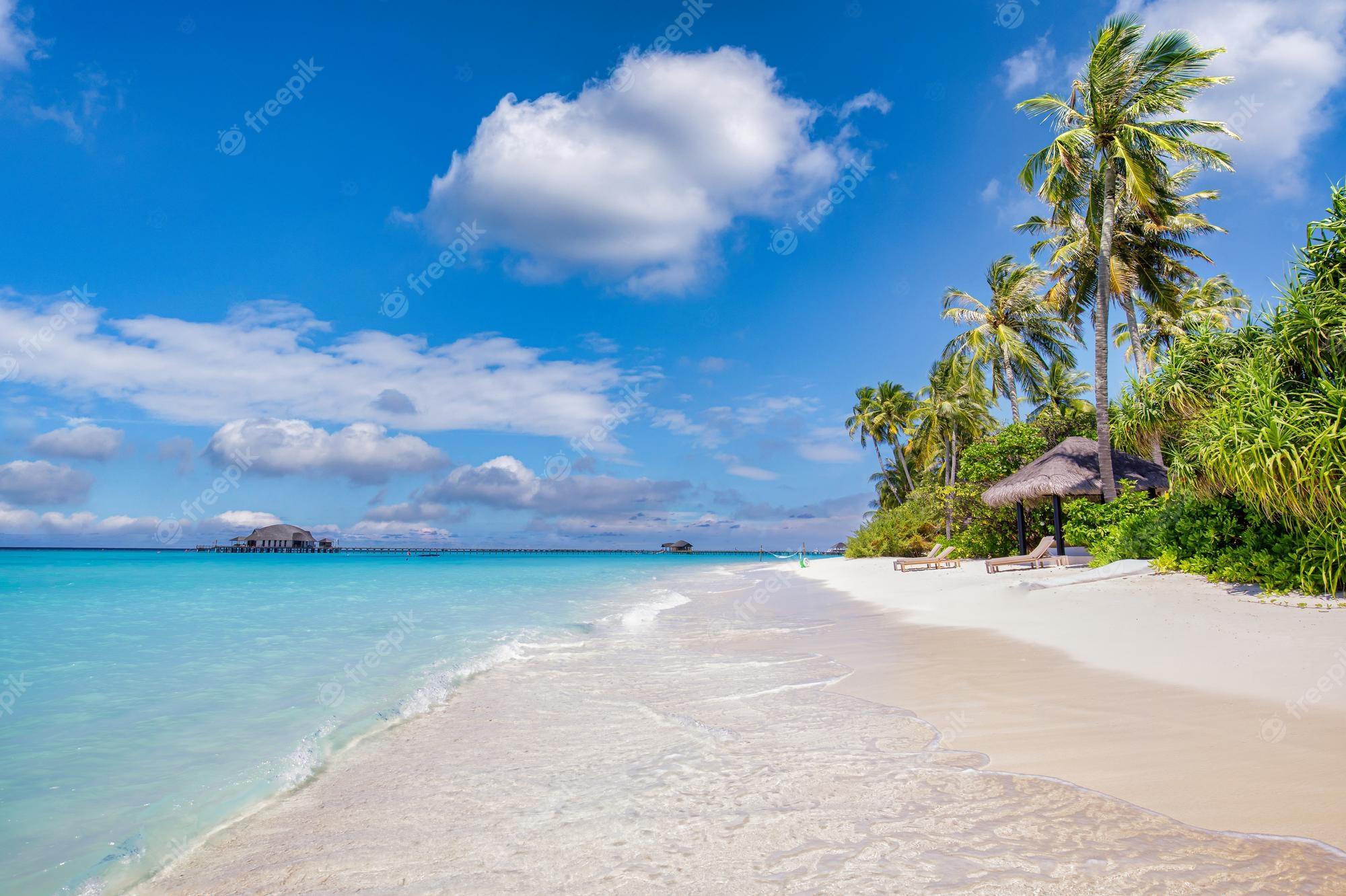 Premium Photo Summer Travel Background Exotic Tropical Beach