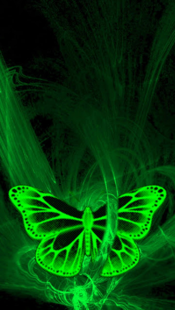 Green Butterfly Wallpaper For iPhone