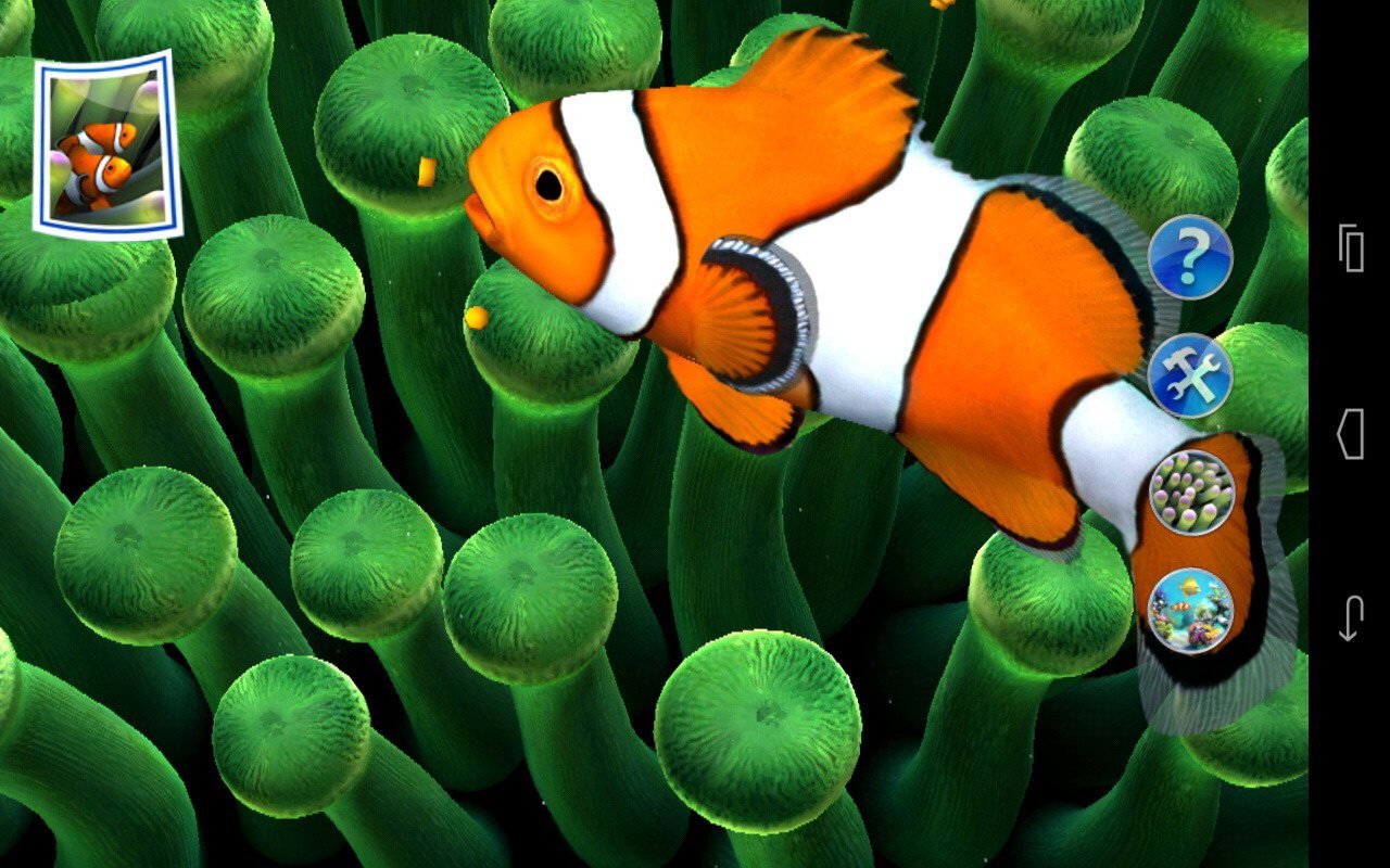 Best Fish Live Wallpapers   Android Live Wallpaper Download 1280x800