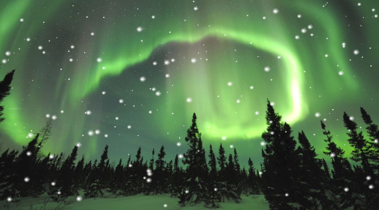 Aurora Borealis Animated Wallpaper Desktopanimated