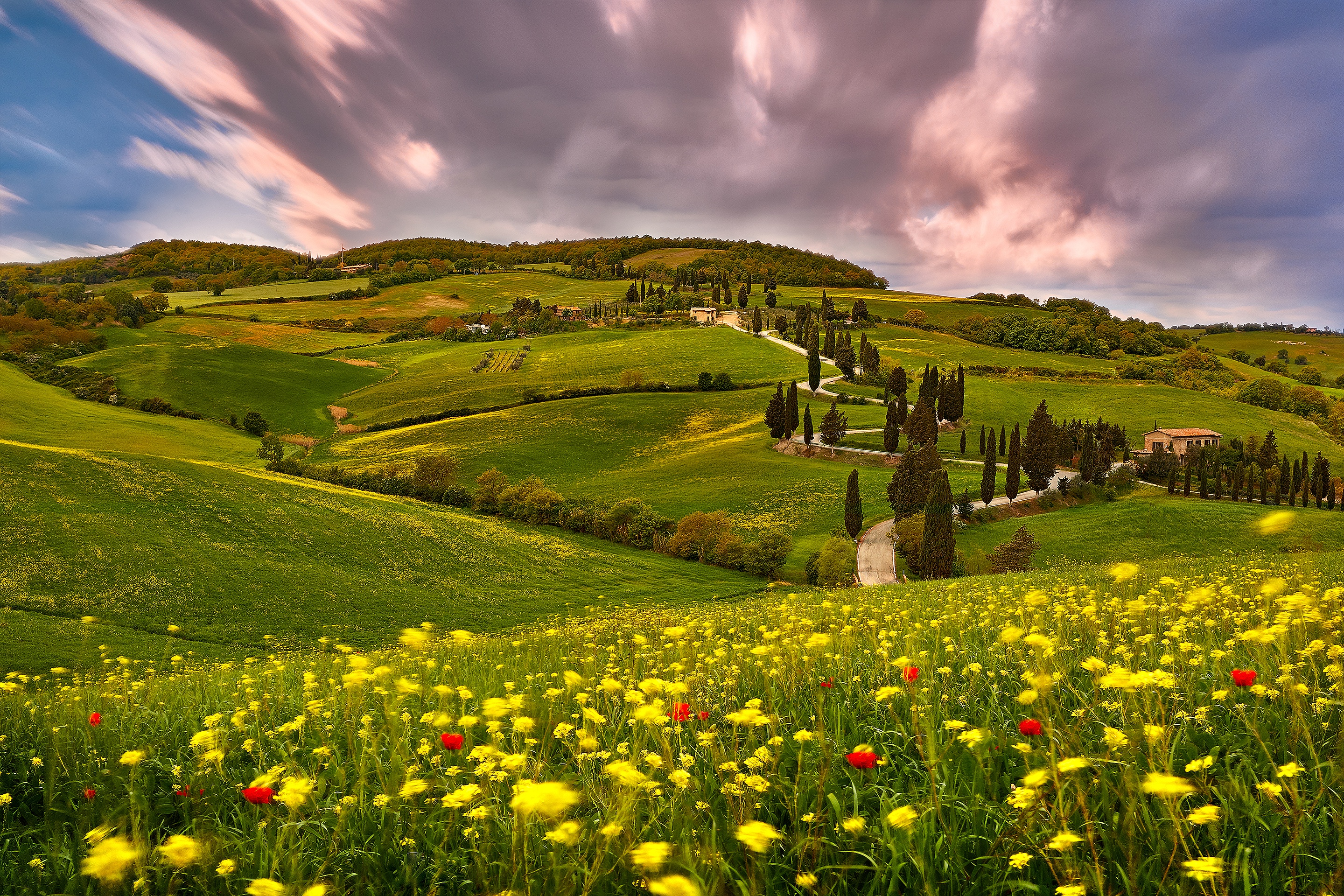 Italy Meadow Hill Flower Cloud Summer Photography Tuscany Hd Wallpaper