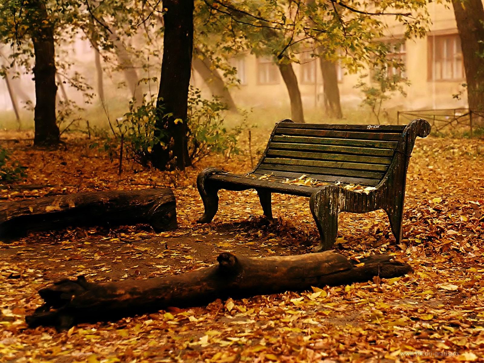 Fall Desktop Background Windows