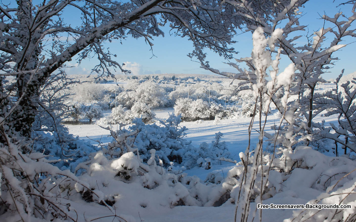 Snow Fields In South Wales Screensavers And Background