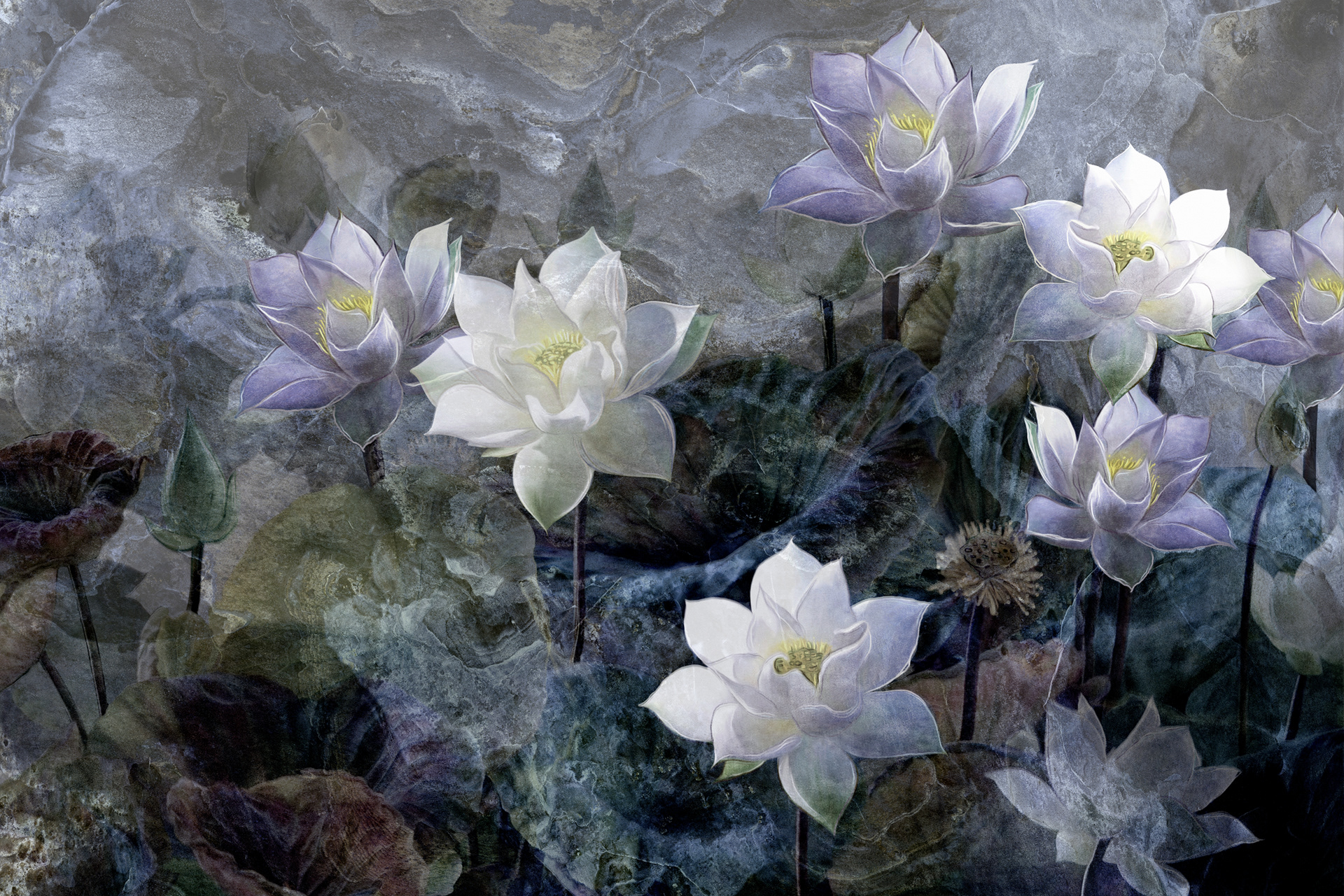 Lotus Wallpaper On